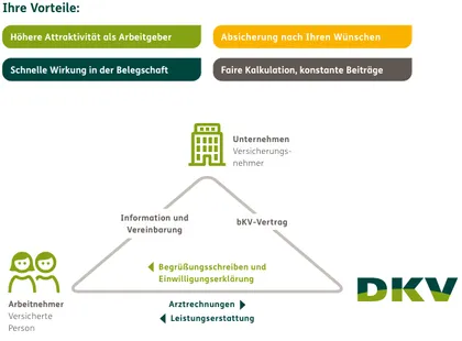  Die arbeitgeberfinanzierte bKV