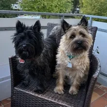 Shade und Micky :-)