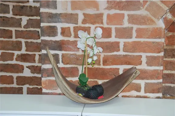 ERGO Versicherung Annett Ahrens Lübsche Str. 27 23966 Wismar