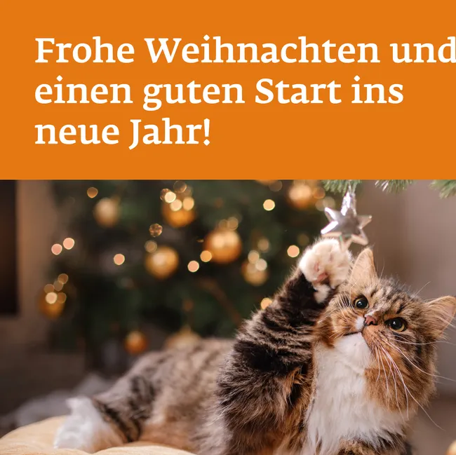 Ingo Klimmek
mit der Erfahrung von 35 Jahren im Dienst der Kunden!