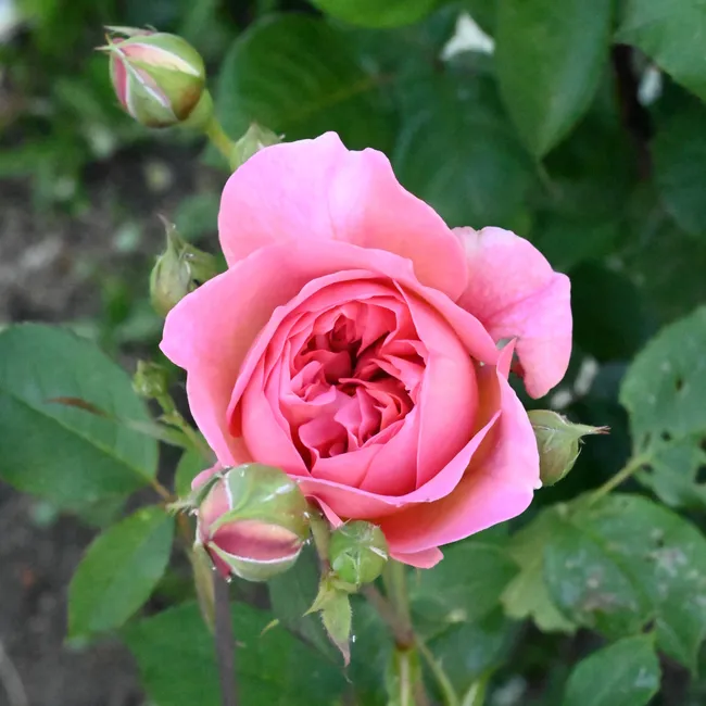 ERGO Geschäftsstelle
Matthias Rotzler