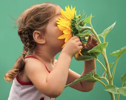 Frühstart für kluge Eltern – ETF statt Kuscheltier