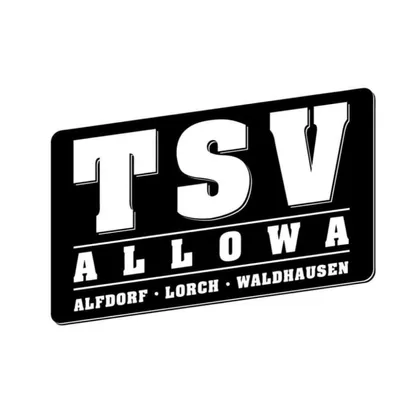 Handball – Sponsoring TSV Alfdorf-Lorch-Waldhausen