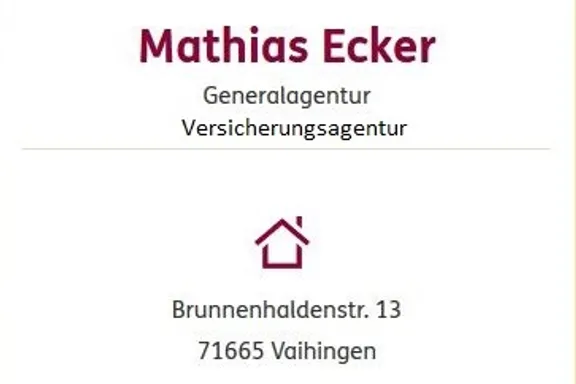 ERGO Generalagentur Vaihingen/Enz Ecker Brunnenhaldenstr. 13 71665 Vaihingen/Enz