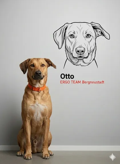 Otto 