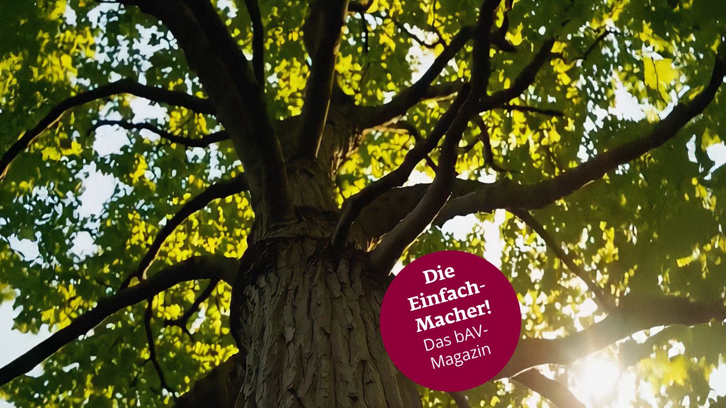 bAV statt Lohnerhöhung