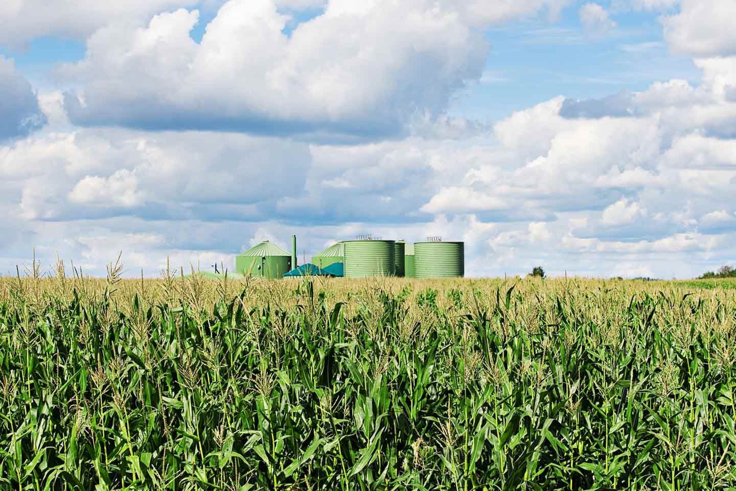 Auf den Feldern stehen Getreidesilos.