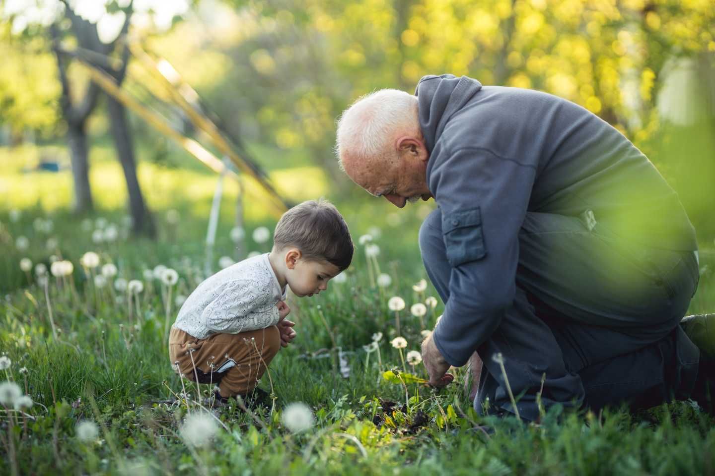 Ein Opa und sein Enkel betrachten gemeinsam eine Pusteblume..