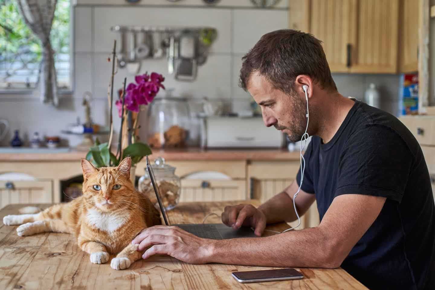 Ein Mann sitzt am Küchentisch und arbeitet, vor seinem Laptop liegt eine Katze. 
