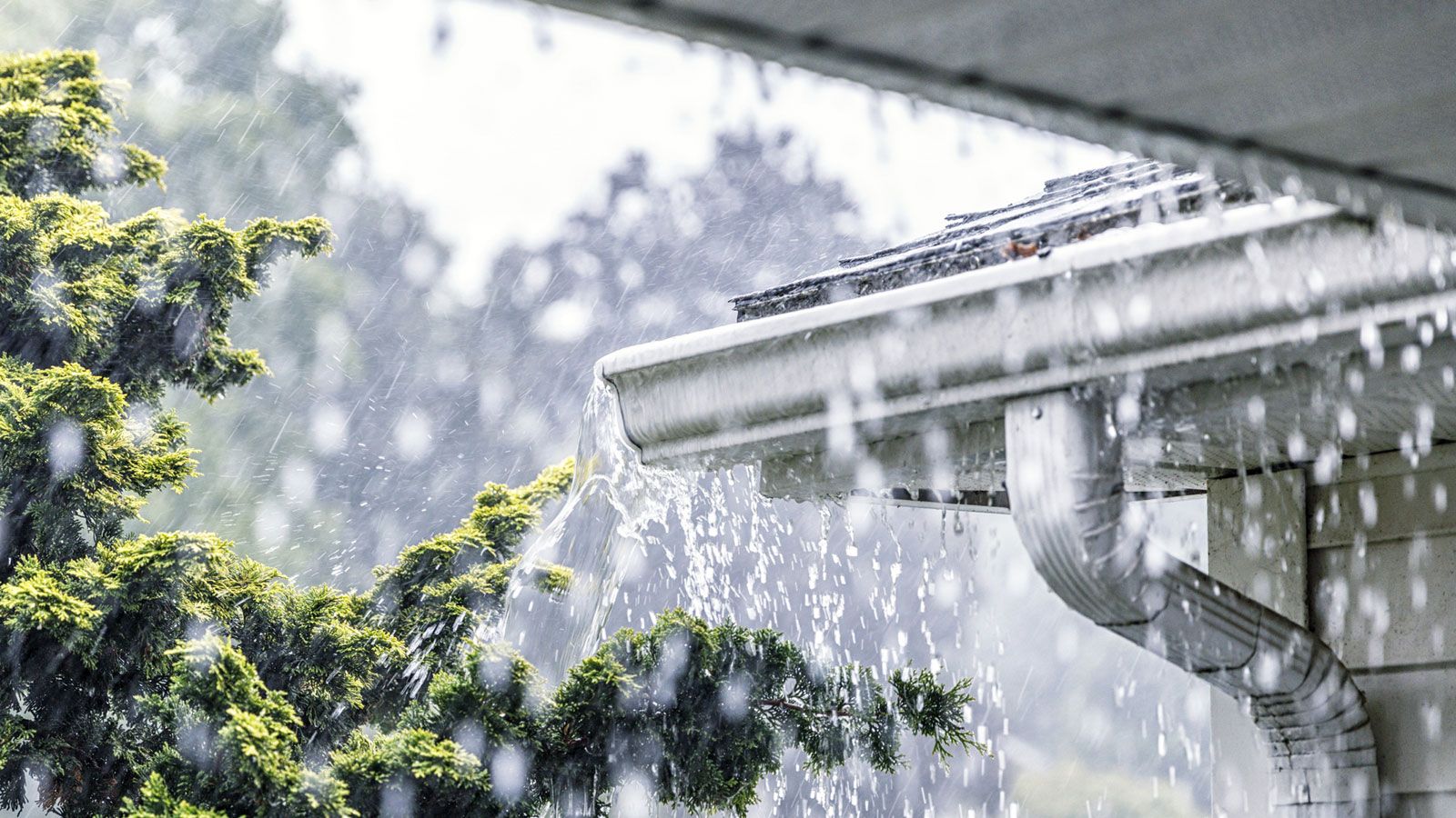 Ein Regenrinnenabfluss tropft Wasser auf das Dach eines Hauses.