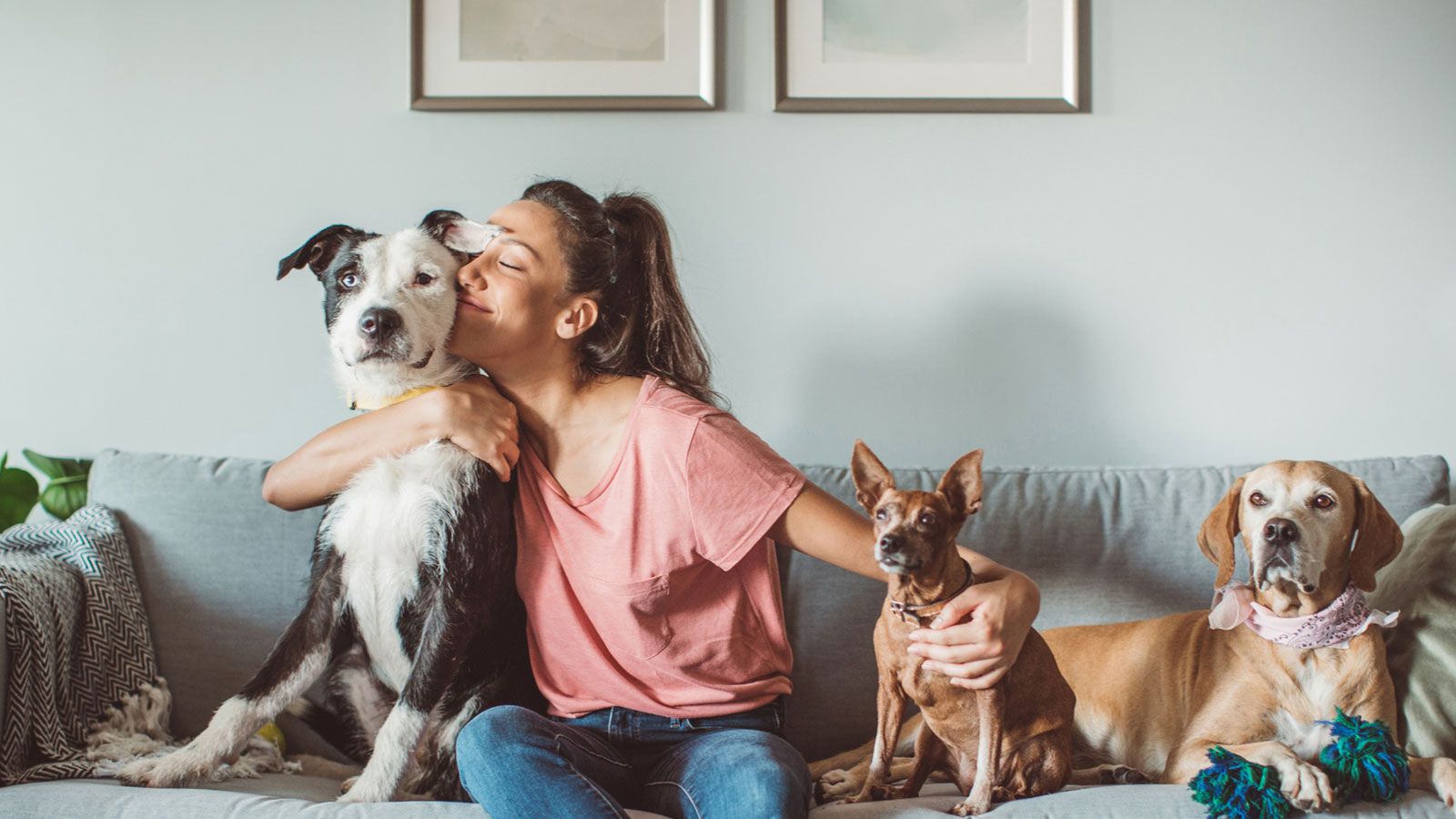 Eine Frau sitzt auf einem Sofa mit drei Hunden, die entspannt um sie herumliegen.