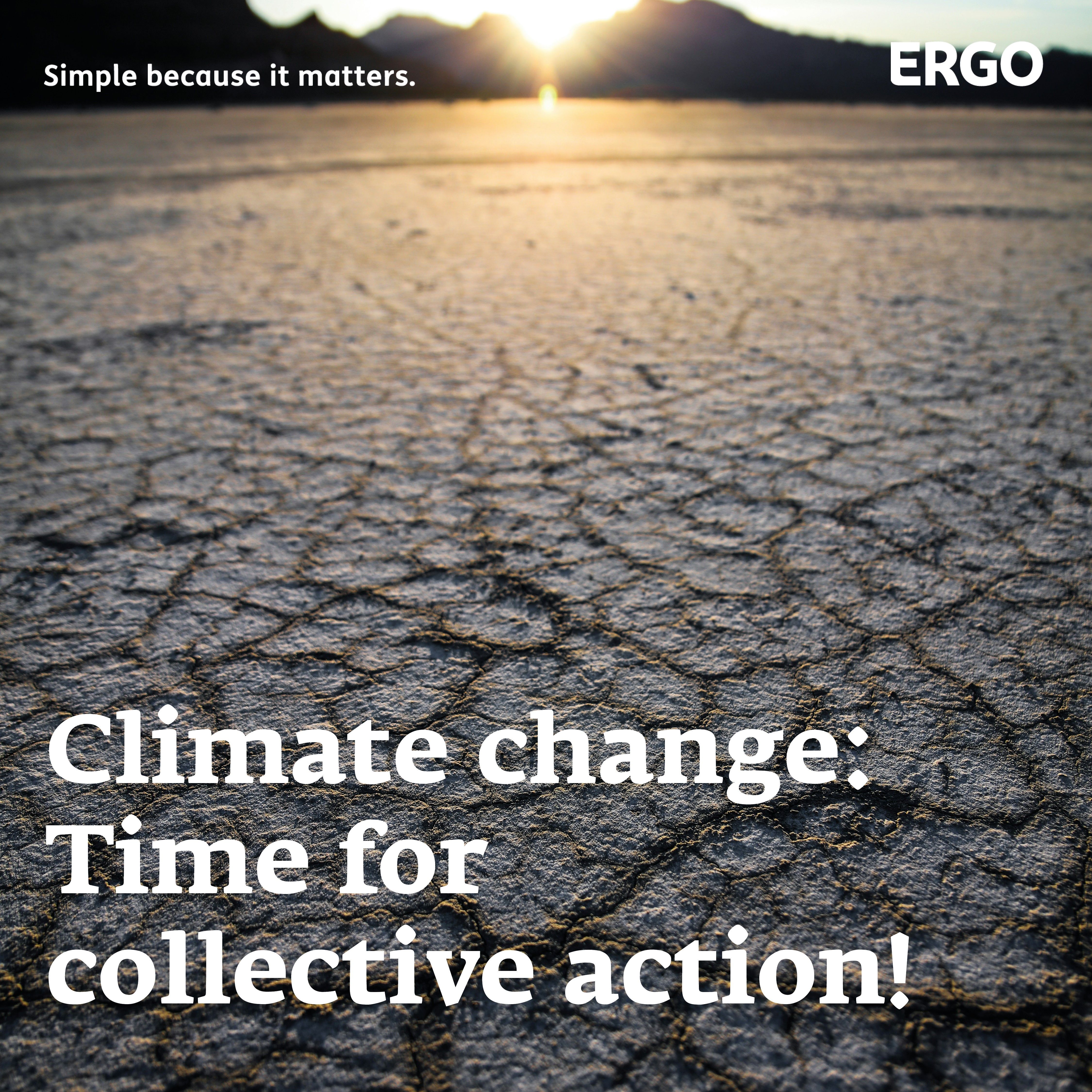 Dry, cracked soil on which the sun shines.