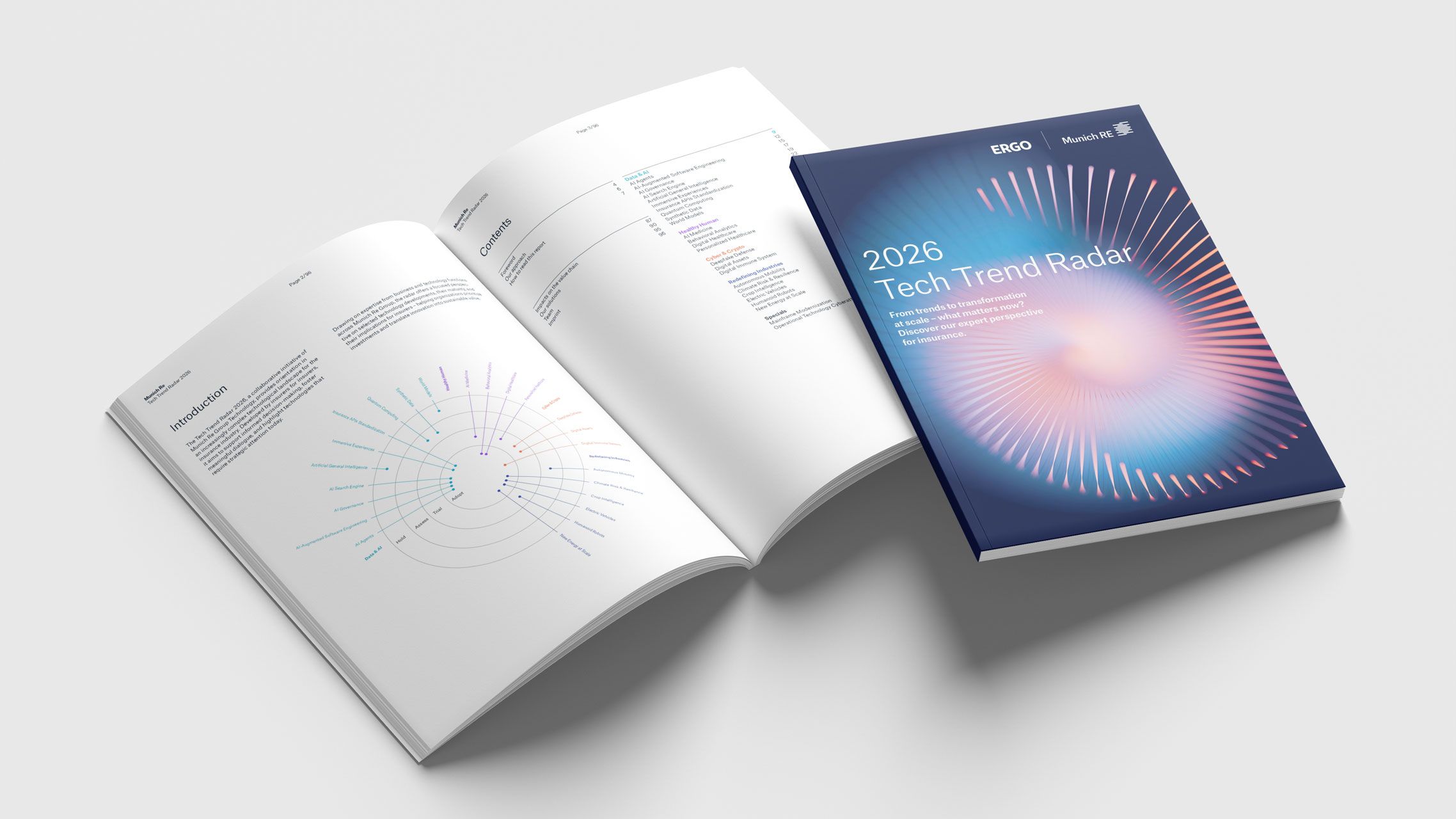 Tech Trend Radar Report Picture